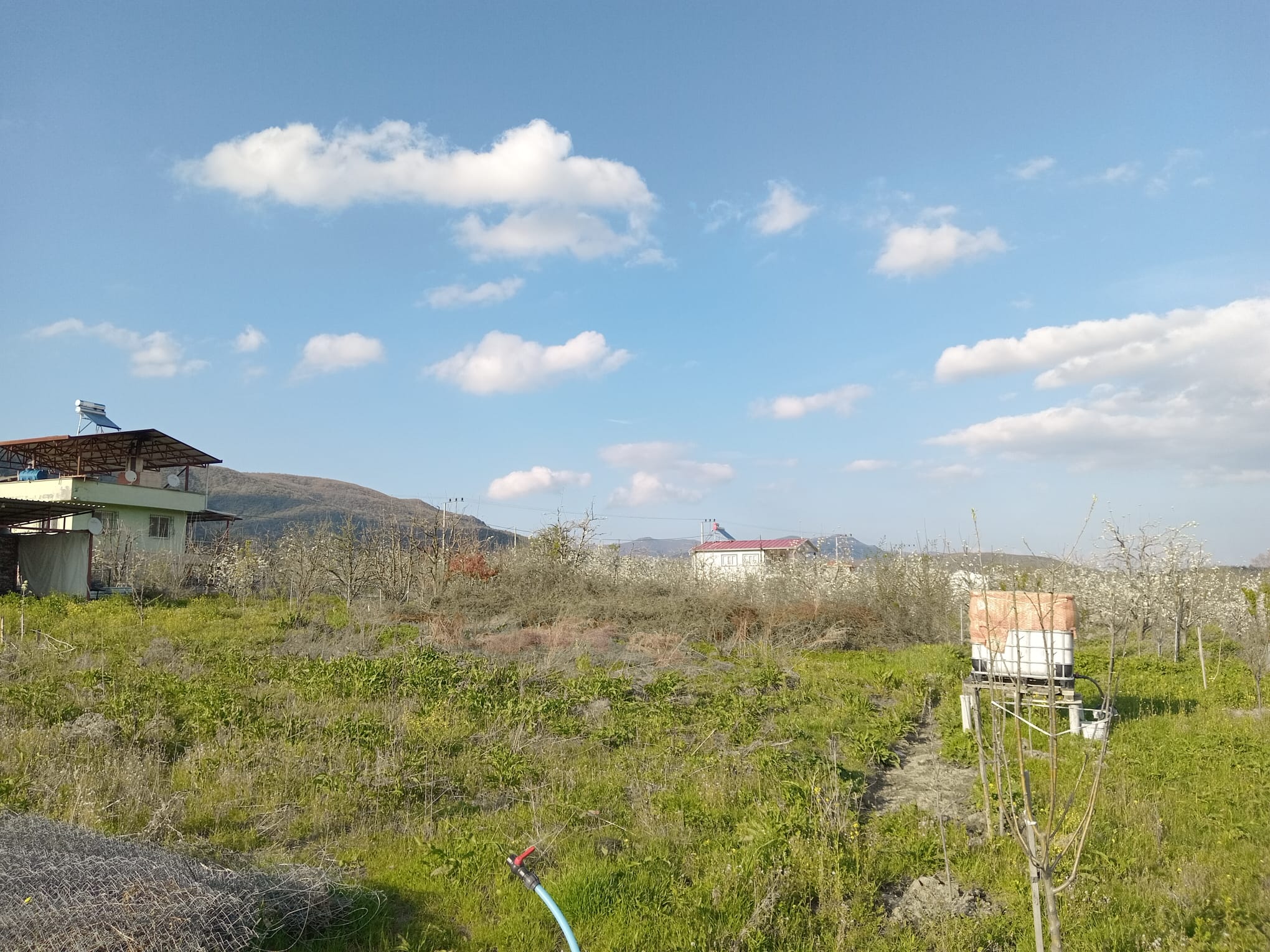 KESTEL GÖLCÜK'TE 500 m2 SATILIK HOBİ BAHÇESİ - BURSA KESTEL fotoğraf 5